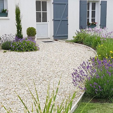 A L'Ombre Des Pins Bed and Breakfast Saint-Augustin  Buitenkant foto